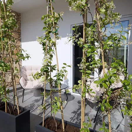 Adamandri - Prime Location Apartment