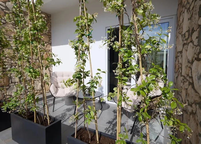 Adamandri - Prime Location Lejlighed